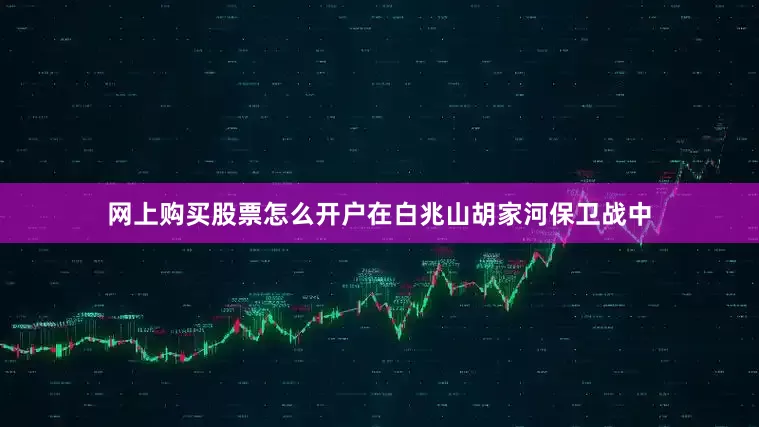 网上购买股票怎么开户在白兆山胡家河保卫战中