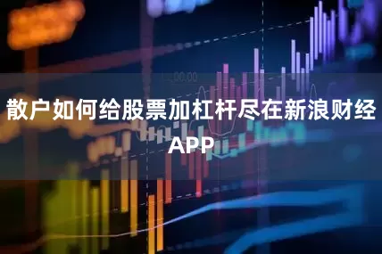 散户如何给股票加杠杆尽在新浪财经APP