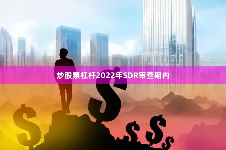 炒股票杠杆2022年SDR审查期内