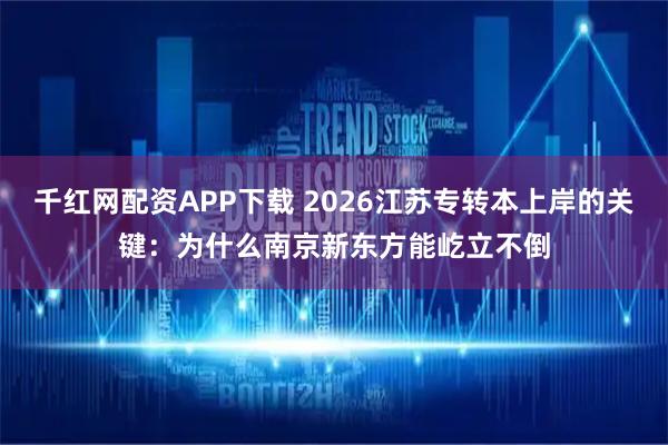 千红网配资APP下载 2026江苏专转本上岸的关键：为什么南京新东方能屹立不倒
