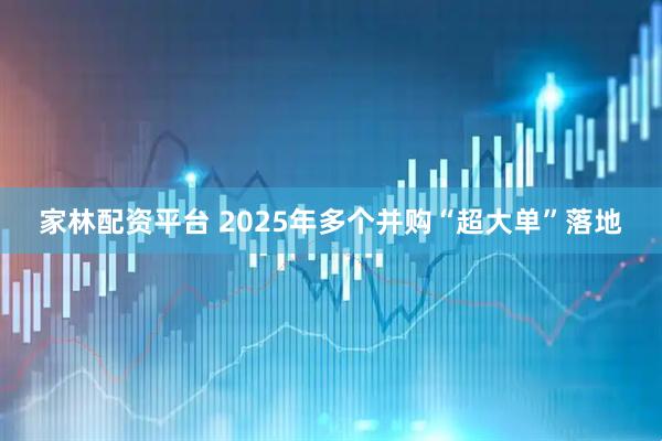 家林配资平台 2025年多个并购“超大单”落地